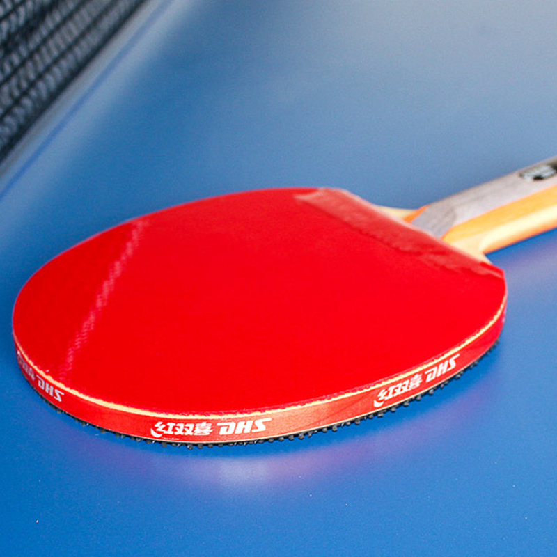 DHS Self-adhesive Table Tennis - Table Tennis Loki ulasan dan harga